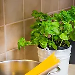 Апартаменты Appartementhaus Alpenrose Пертизау