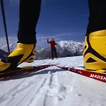 Апартаменты Appartementhaus Alpenrose Пертизау