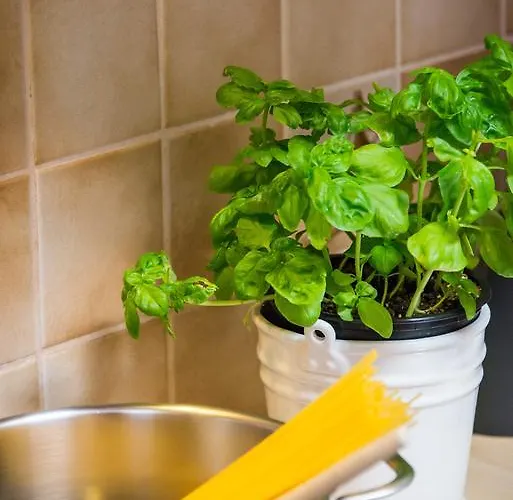 Апартаменты Appartementhaus Alpenrose Пертизау