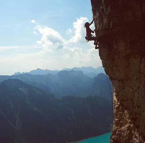 Appartementhaus Alpenrose Апартаменты *