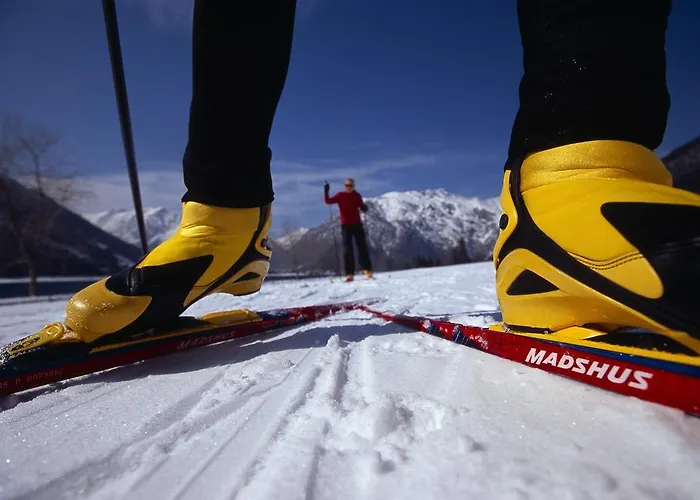 Апартаменты Appartementhaus Alpenrose Пертизау