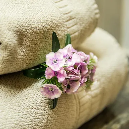 公寓 Appartementhaus Alpenrose 佩尔蒂绍