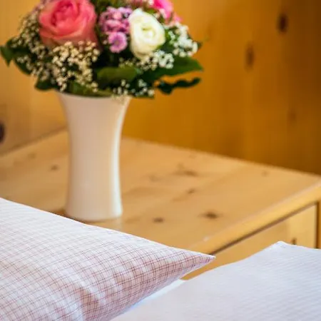 Appartementhaus Alpenrose 佩尔蒂绍