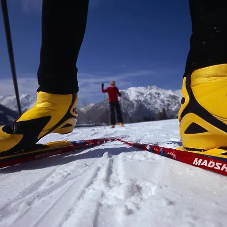 公寓 Appartementhaus Alpenrose 佩尔蒂绍